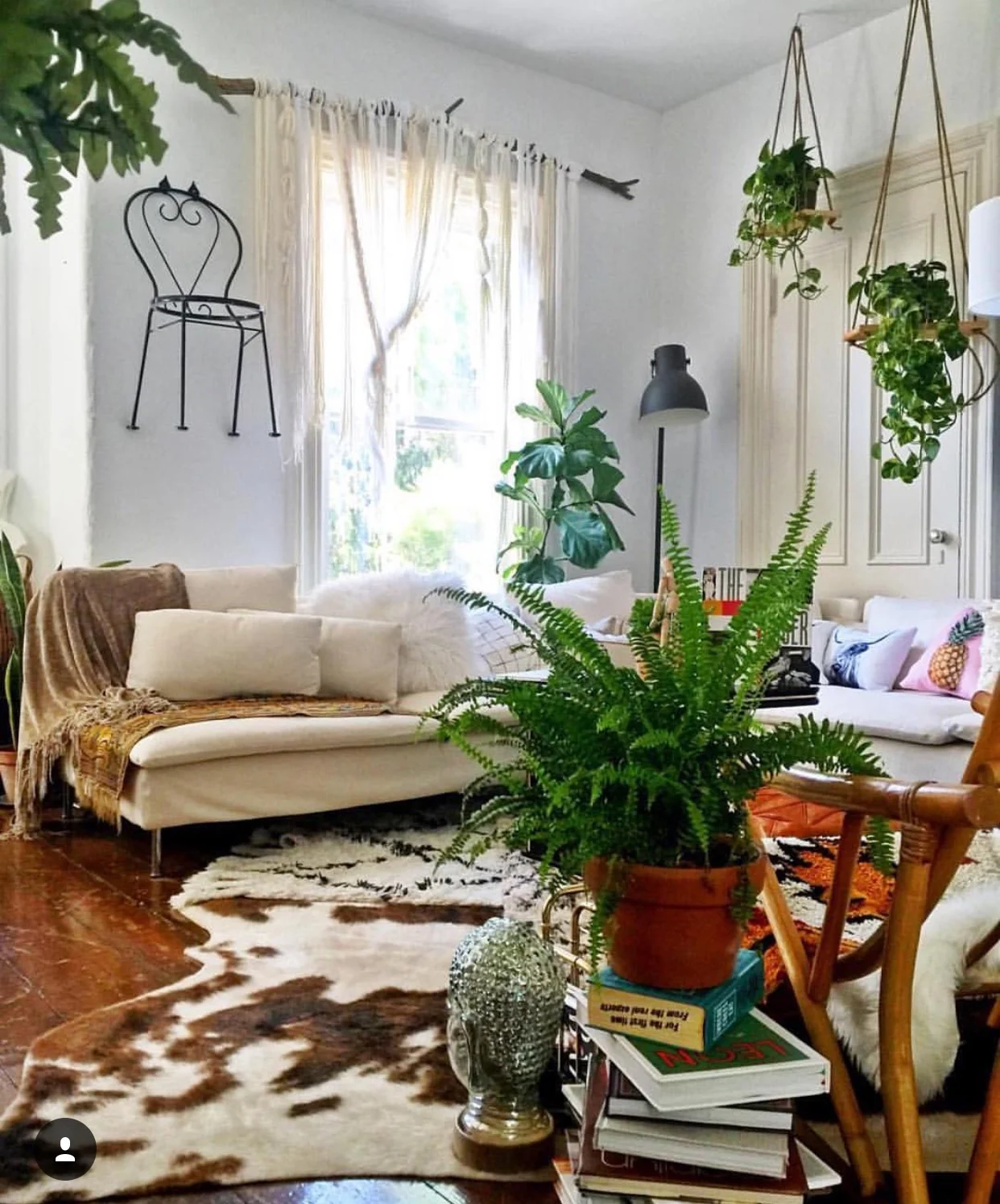 {Photo}Synthesis Vol. 2. : What Bohemian Plant Dreams Are Made Of