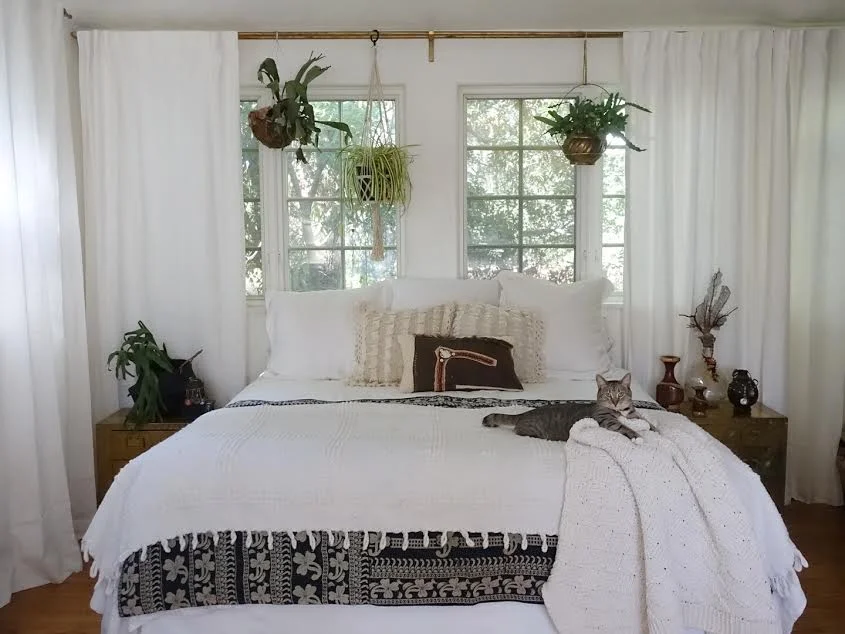 A stag horn plant sits on the nightstand and another hangs above the bed in addition to a spider plant and a blue star fern.