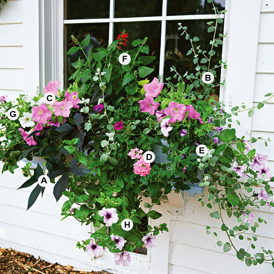 Great Containers for Gardening