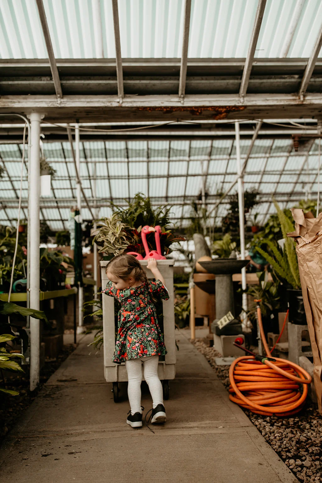 TLR01.29.2018-7.jpg