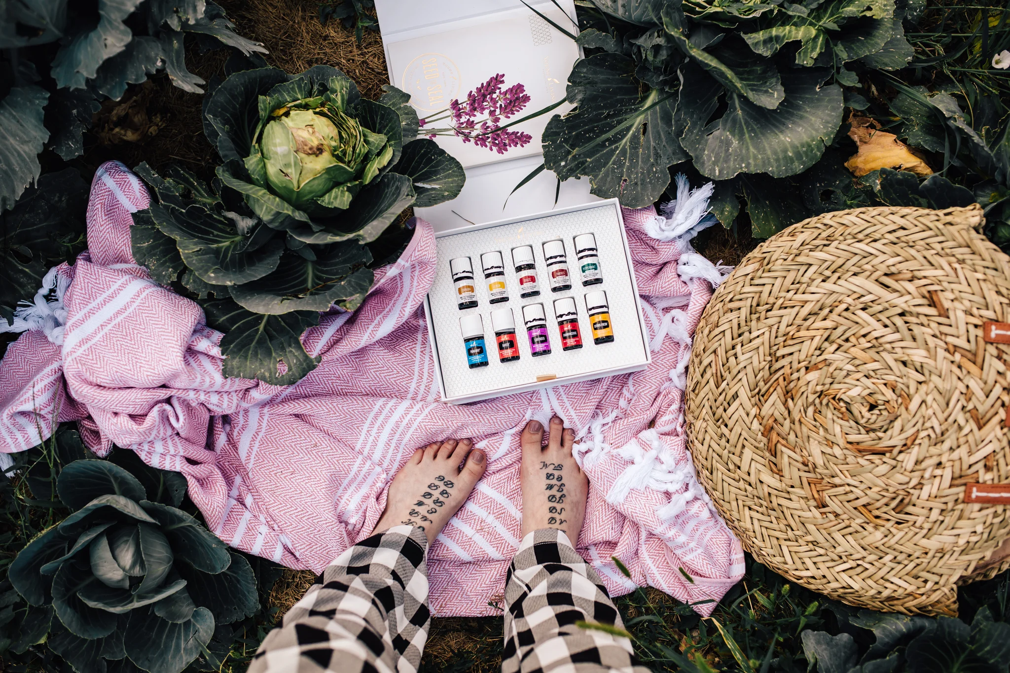 Essential Oils: 5 Reasons Why I Am Hooked