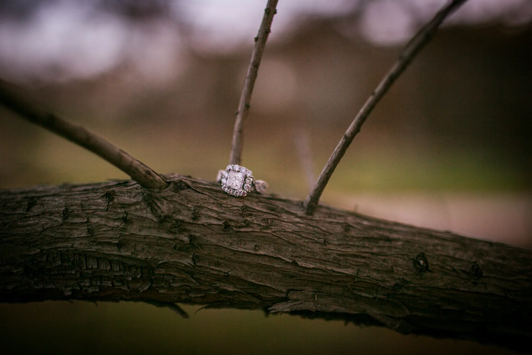 Shannon&Brian-108.jpg