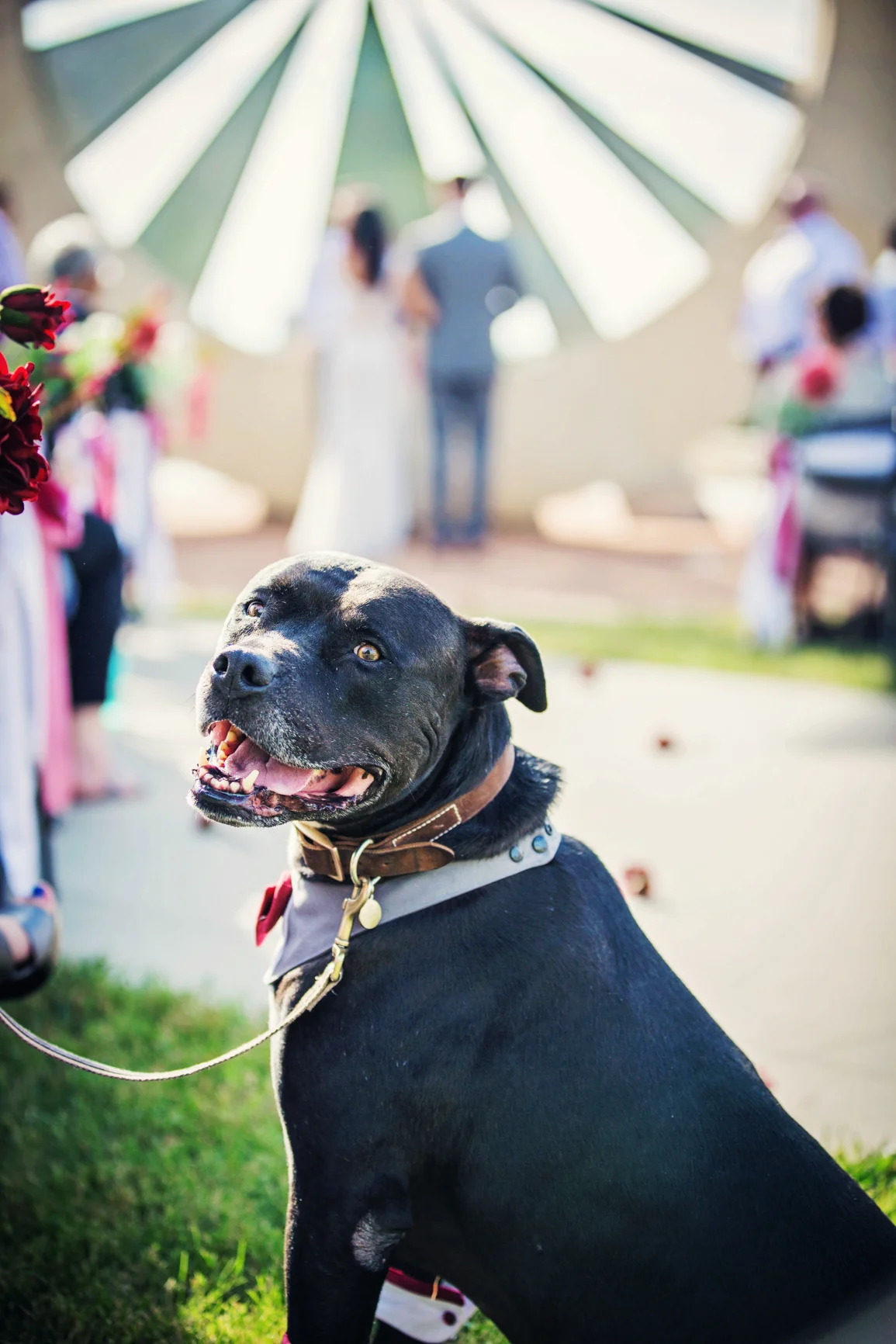 Weddings232.jpg