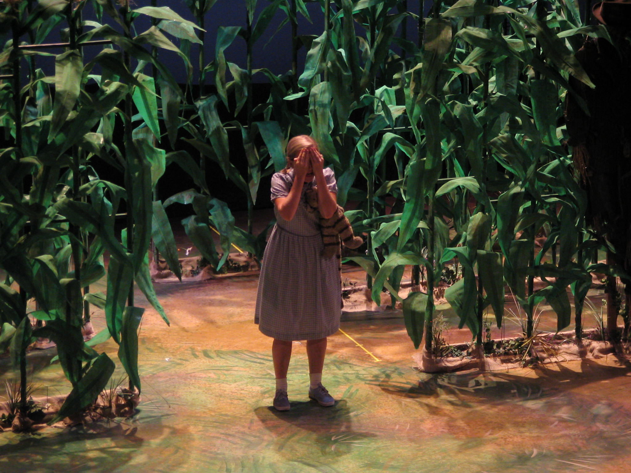 3 - Gretel in the corn.jpg