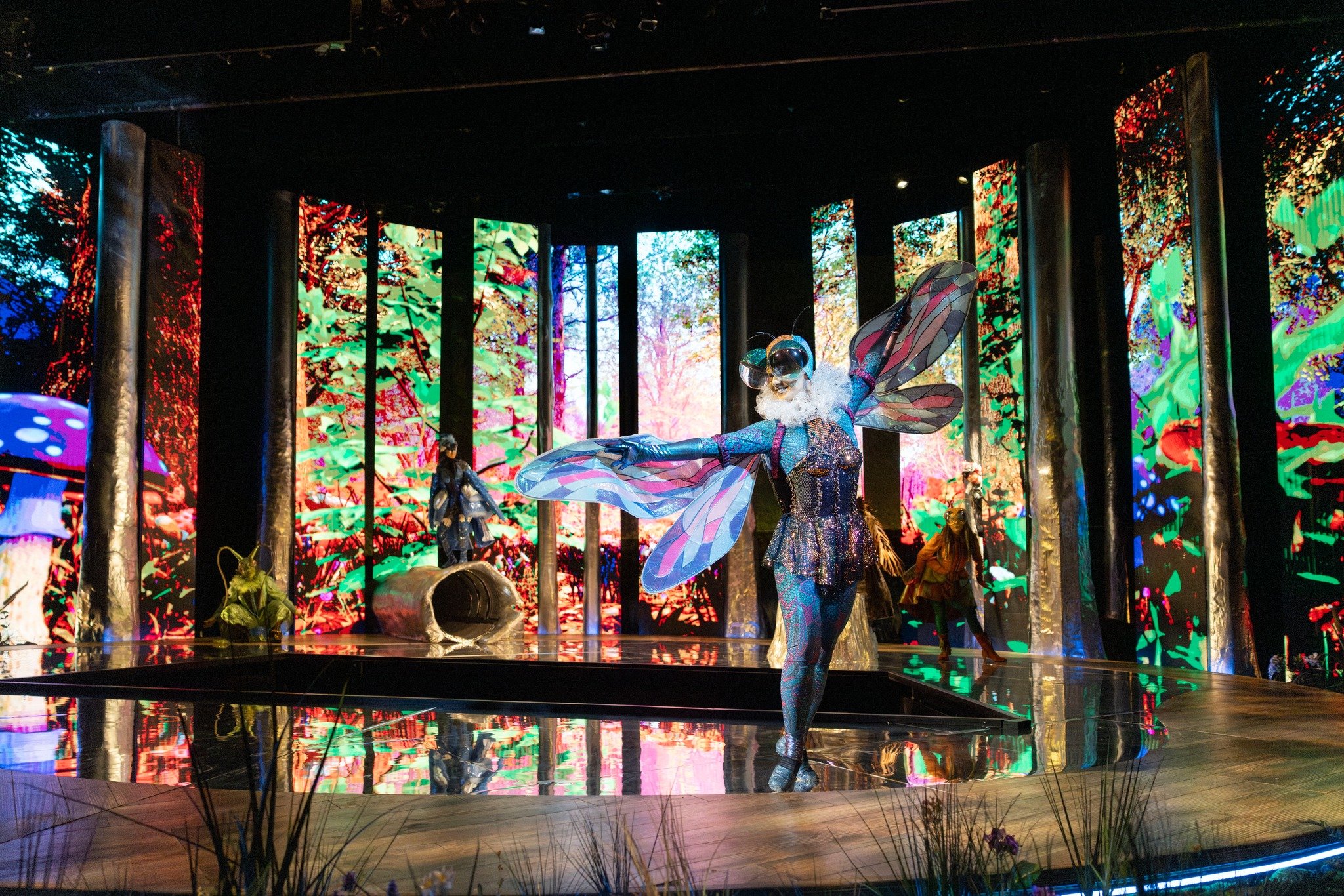 Scene 1 Dragonfly ballet.jpg