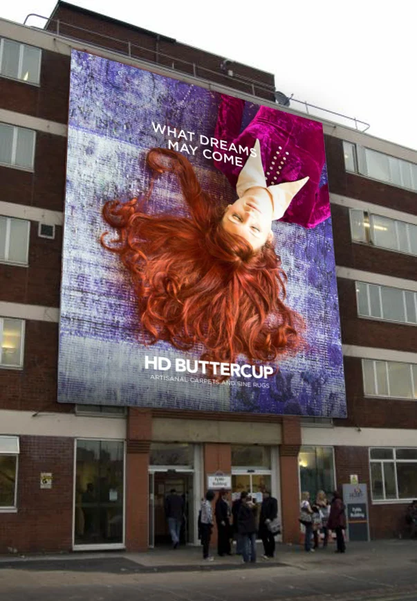 WhatDreams.jpg
