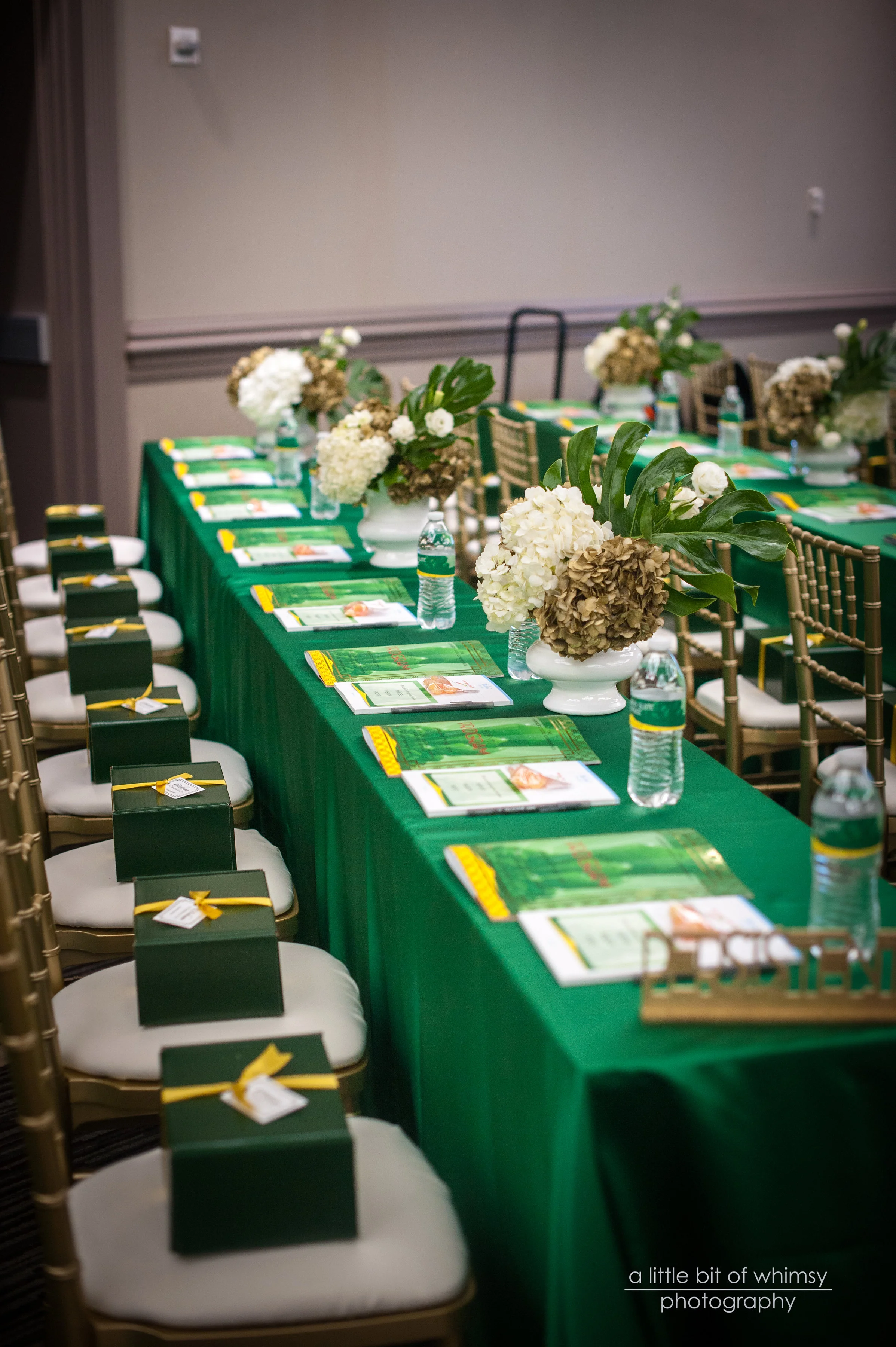 alittlebitofwhimsyphoto354.jpg