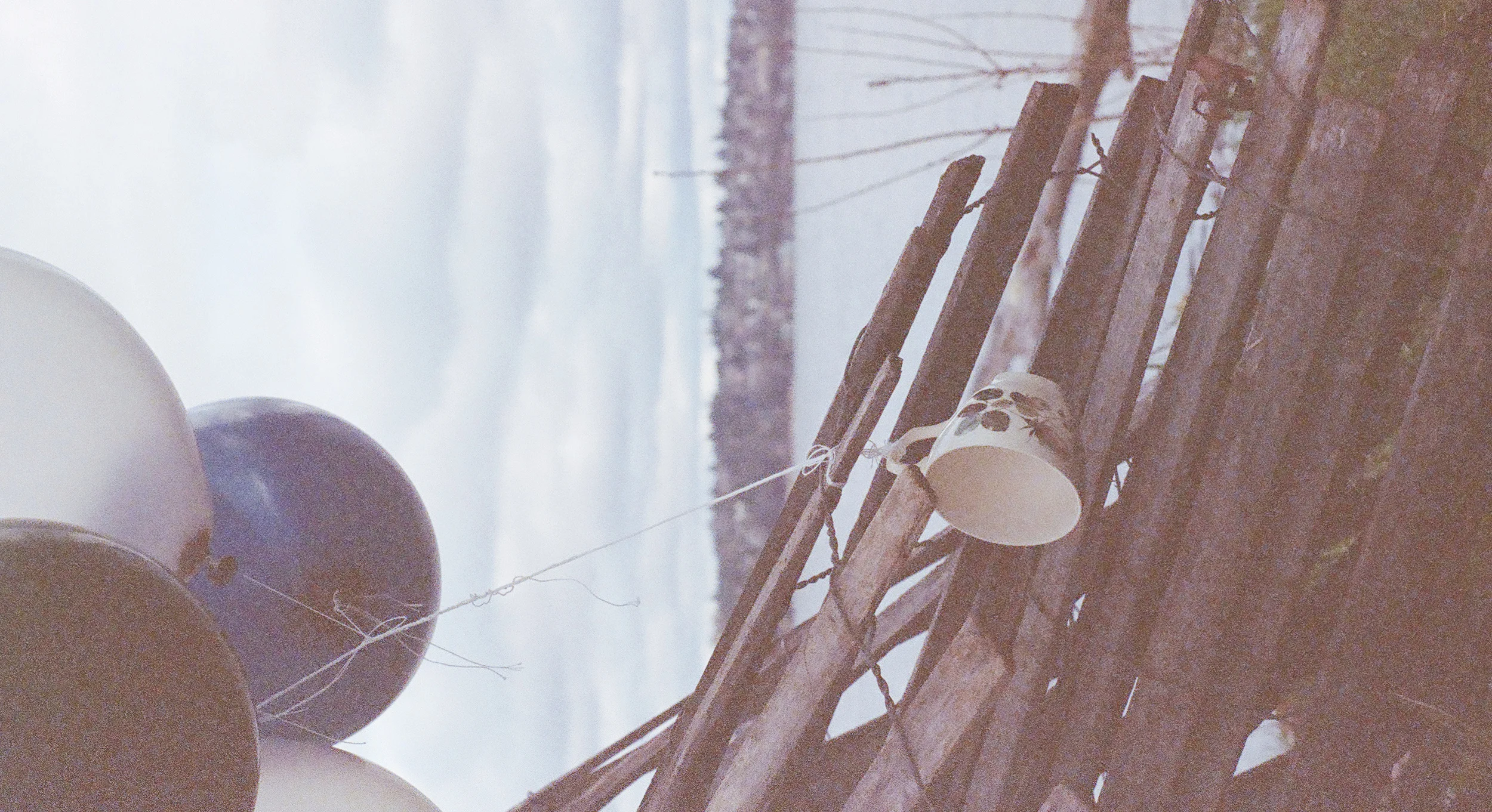 66000021_crop.jpg