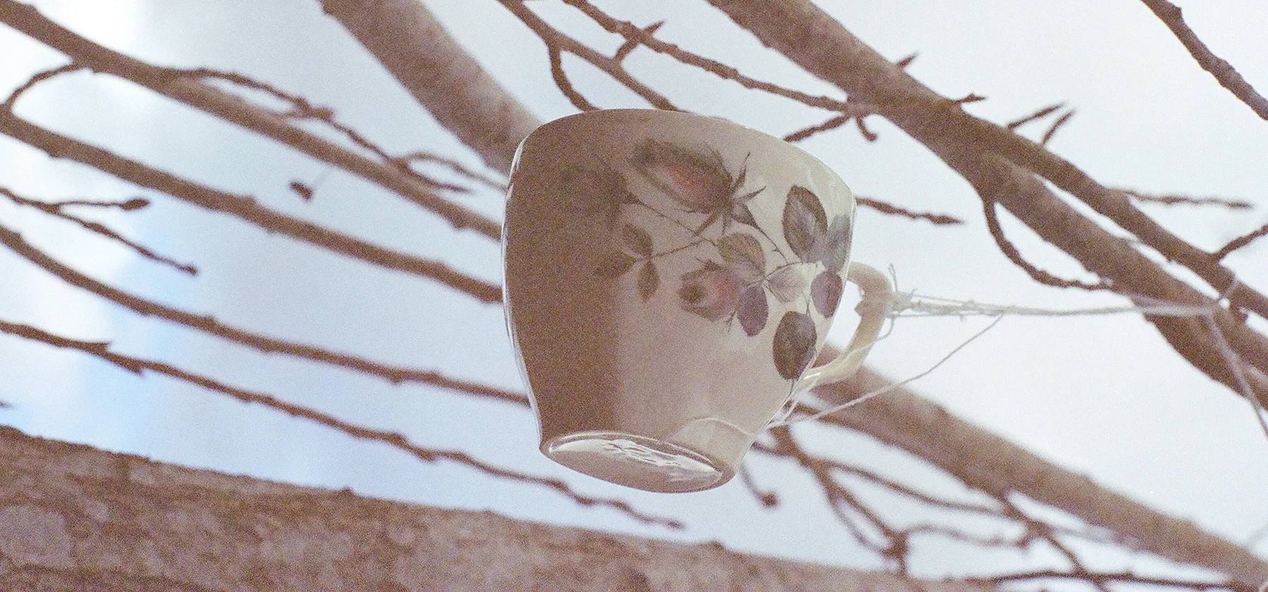 tree_cup_short.jpg
