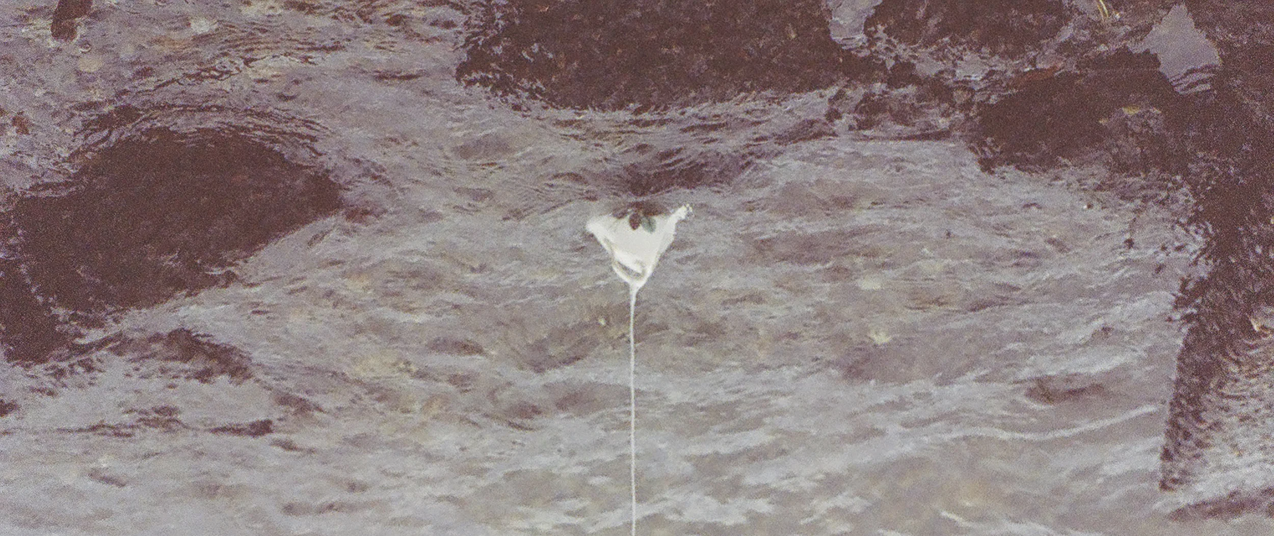 66000012_crop.jpg