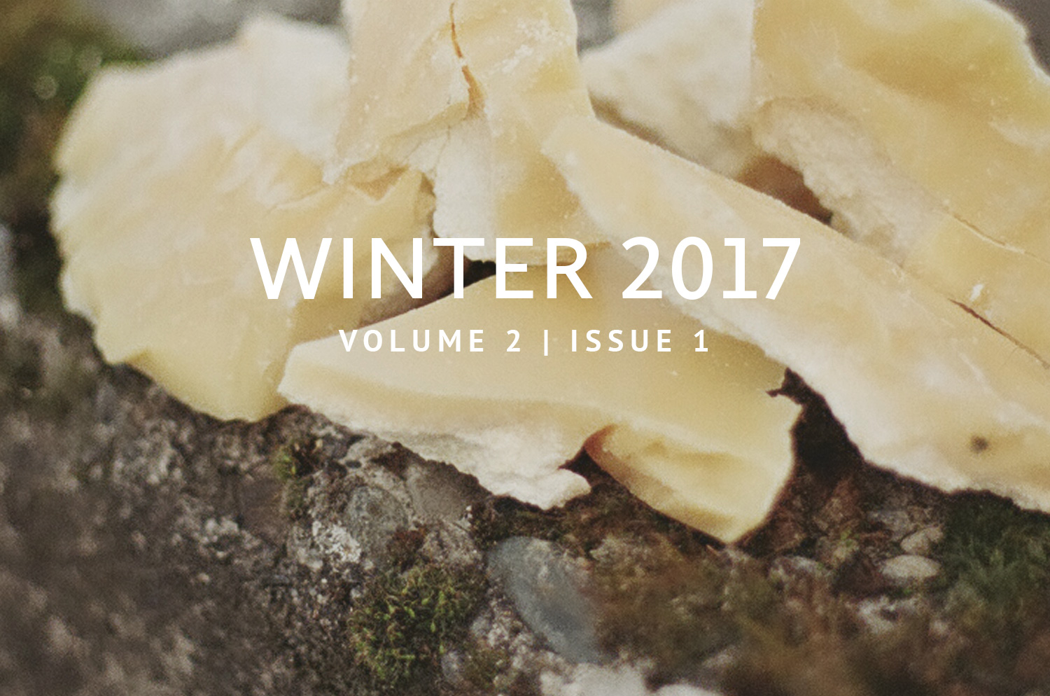 social-thumbnail-winter17.jpg