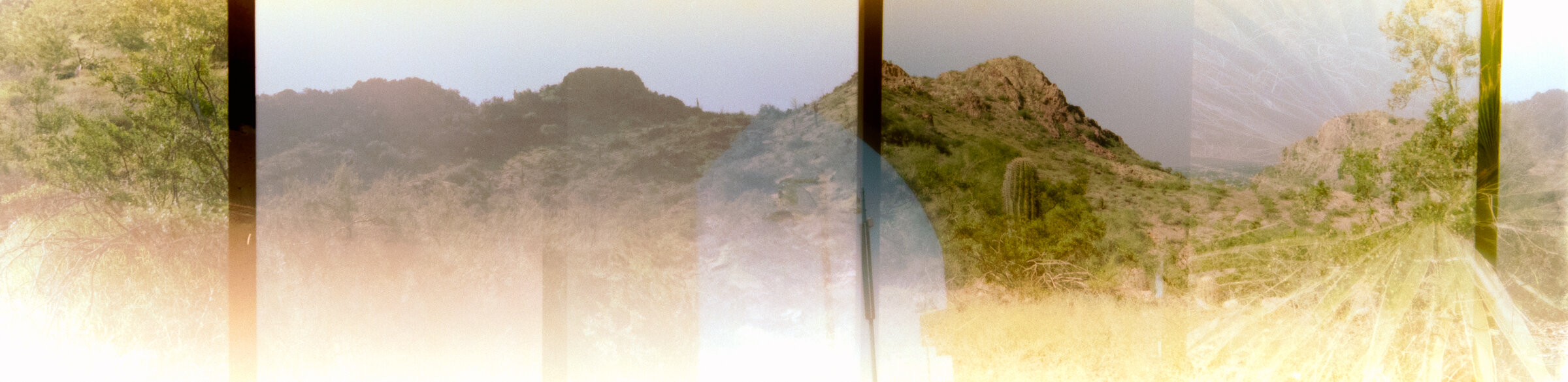 10-Bear2_STR_Summer21-2-22.jpg