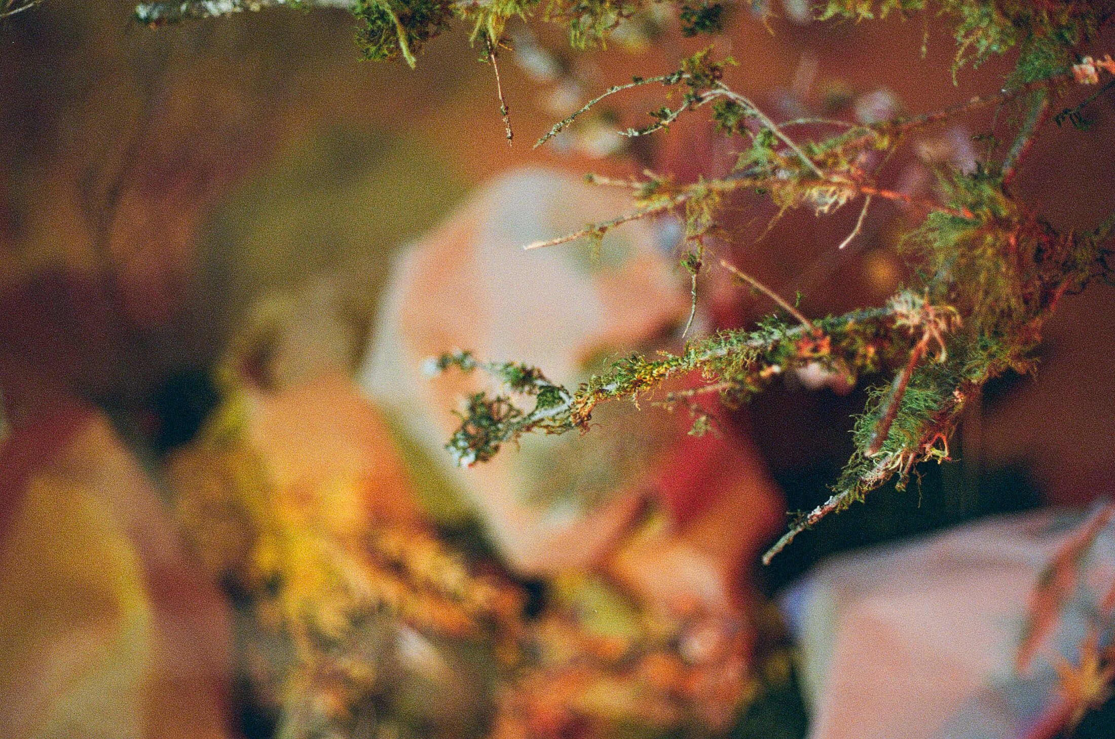STR_2023_Mar-05.jpg