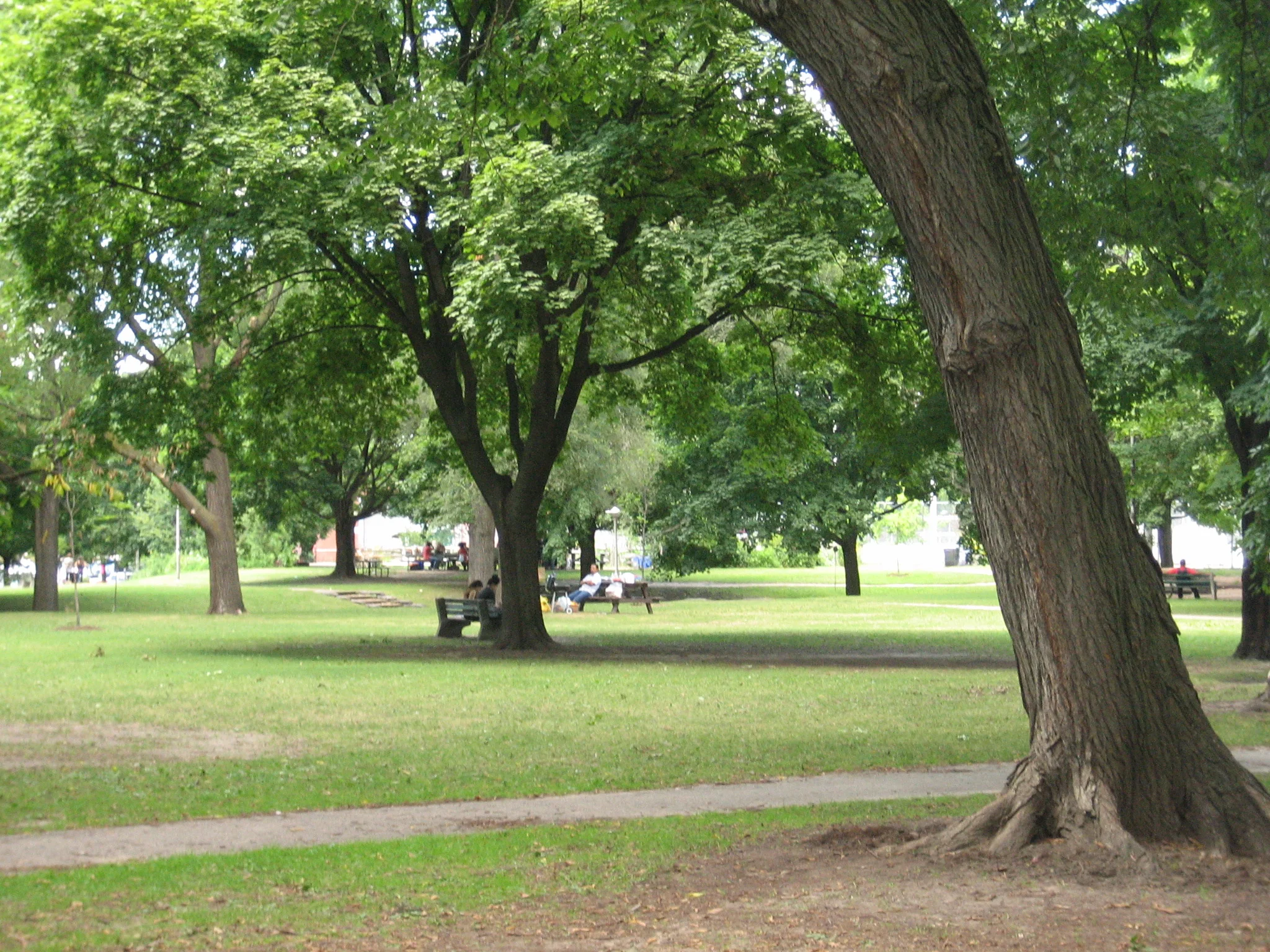 The Great Outdoors