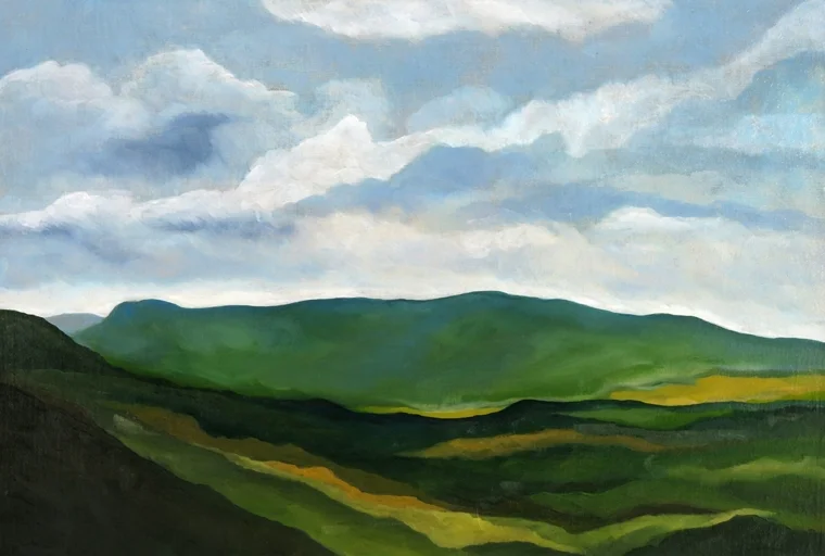 View from Breakneck Ridge, 2009 