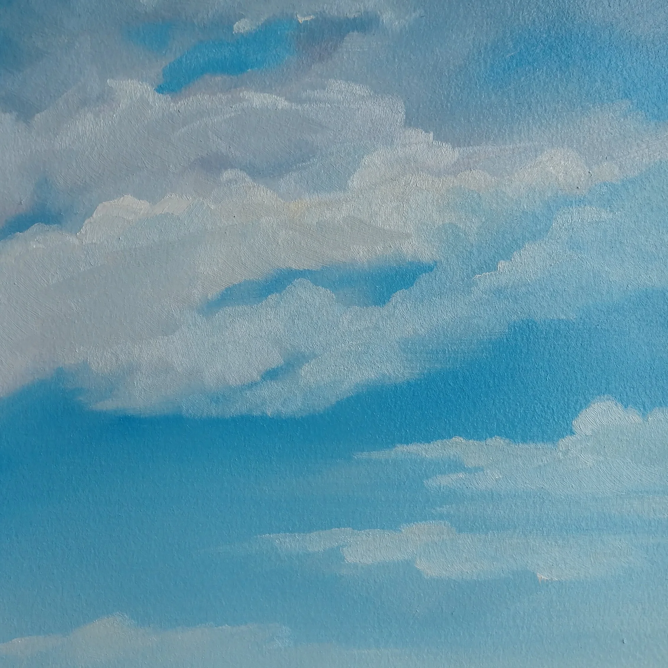 A View from my Window, June 2020