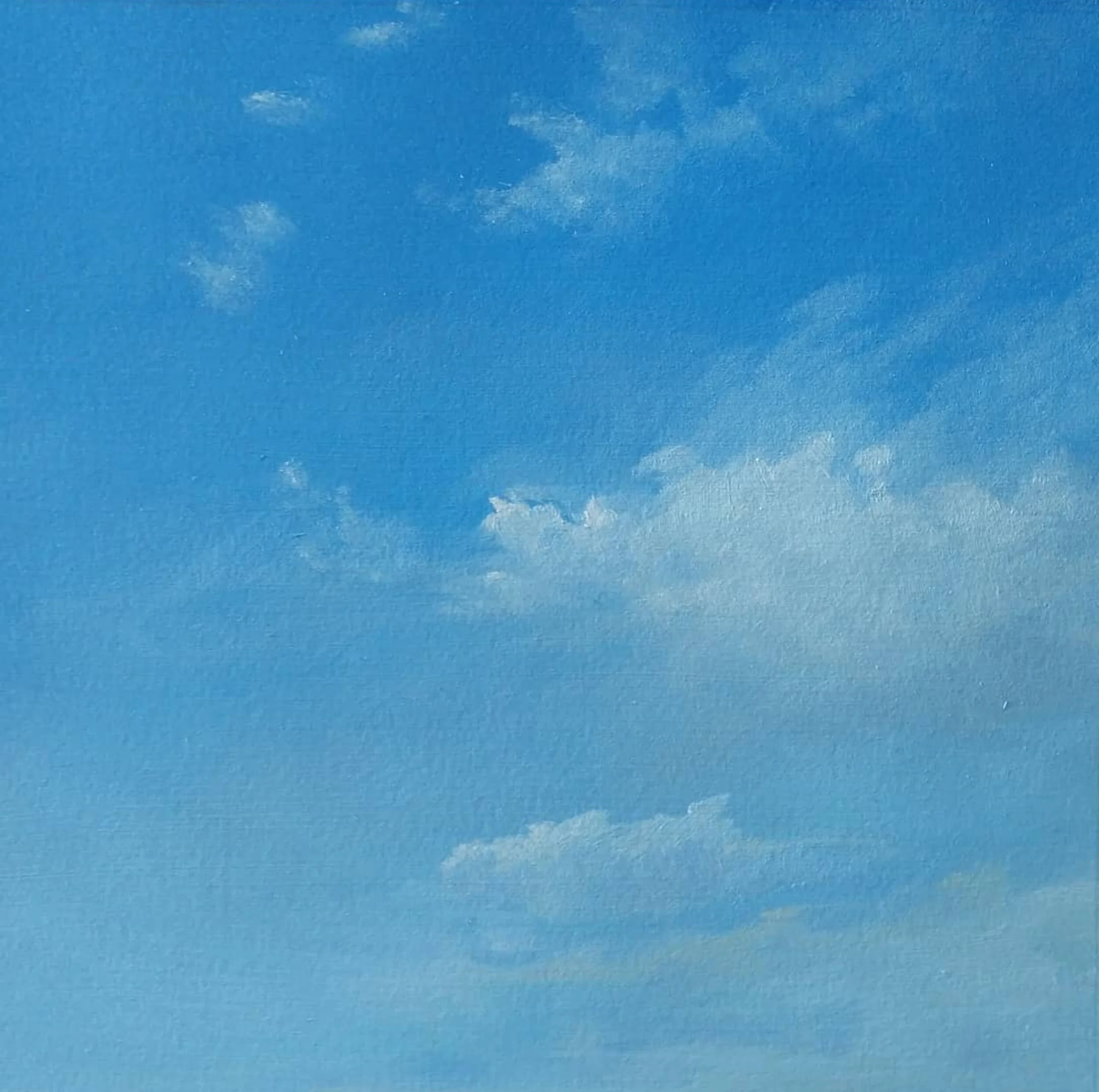 A View from my Window, April 2020