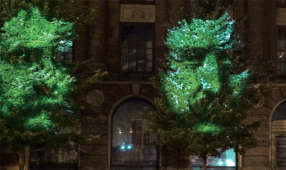 NECProjectMAPTrees.png