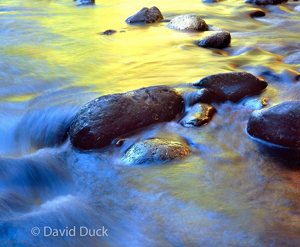 Water Colors 3