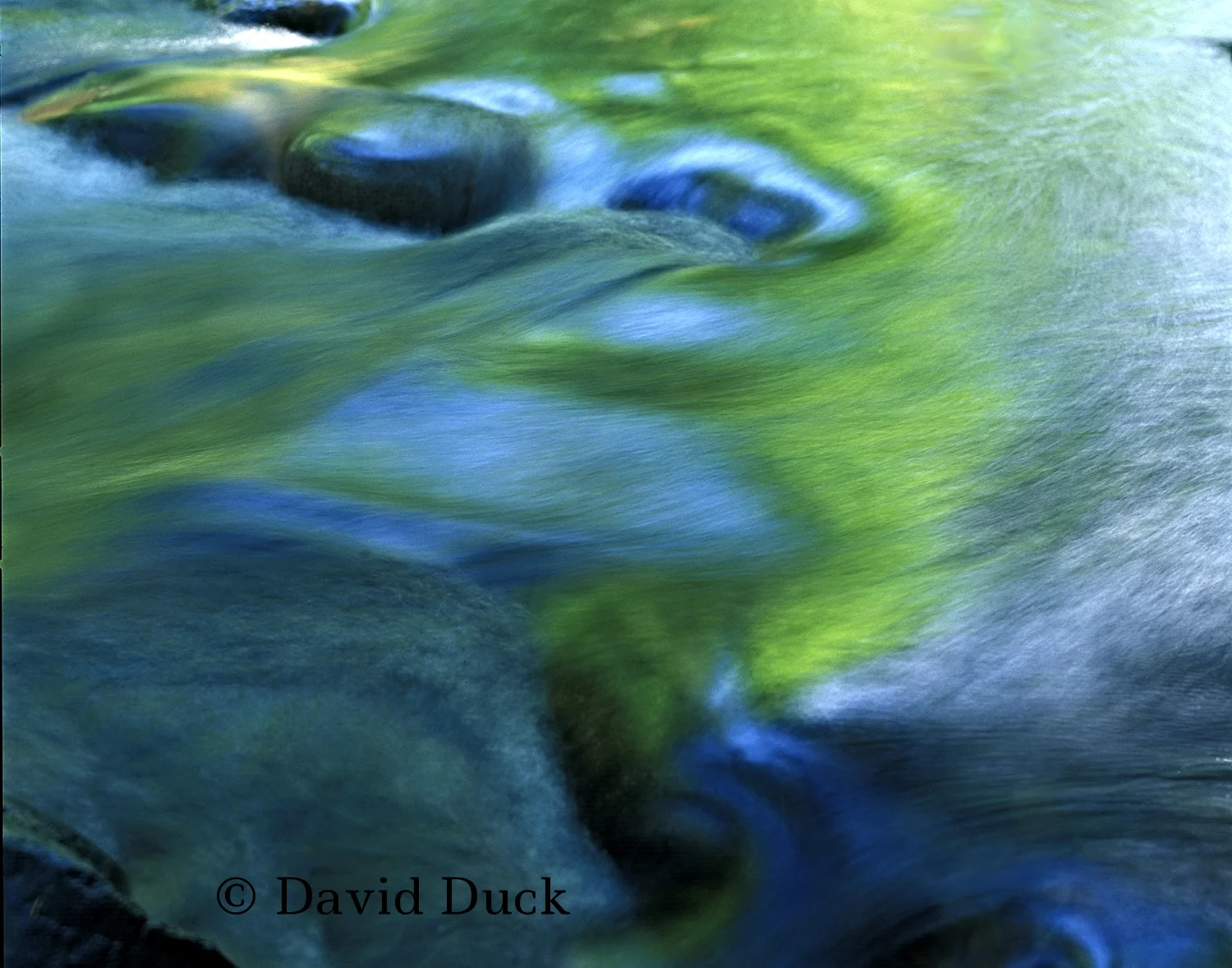 Salmon River