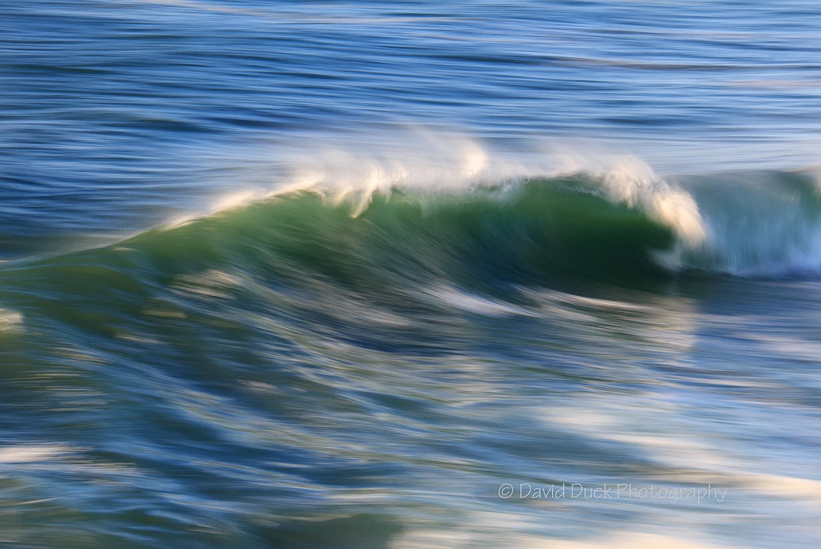 Curl 3649