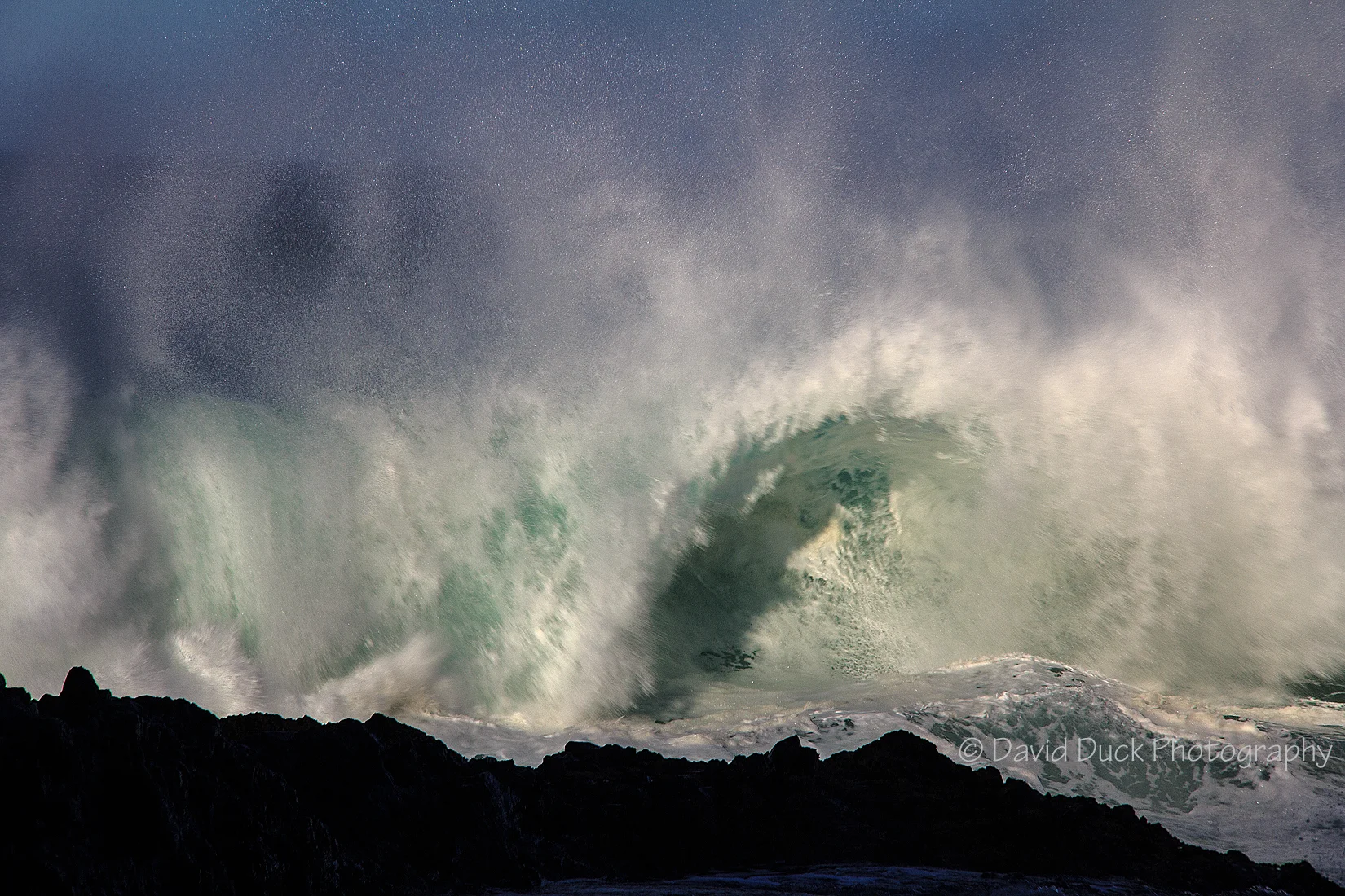 Surf Devils 3818