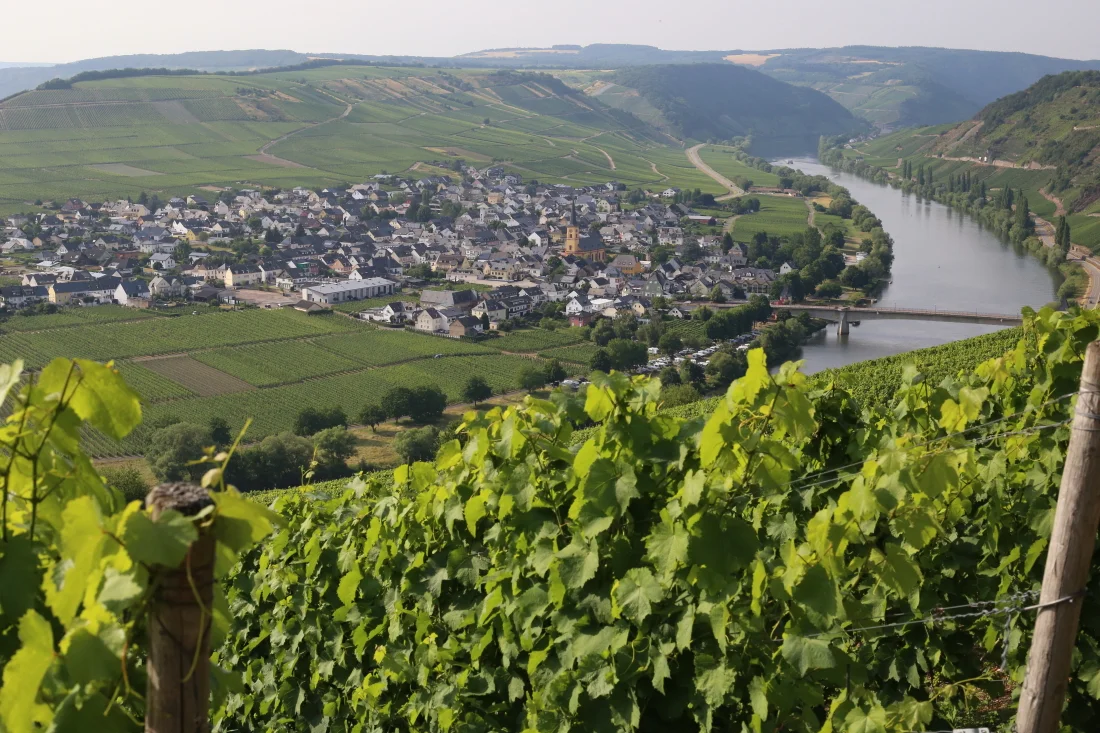 Germany 2019108.JPG