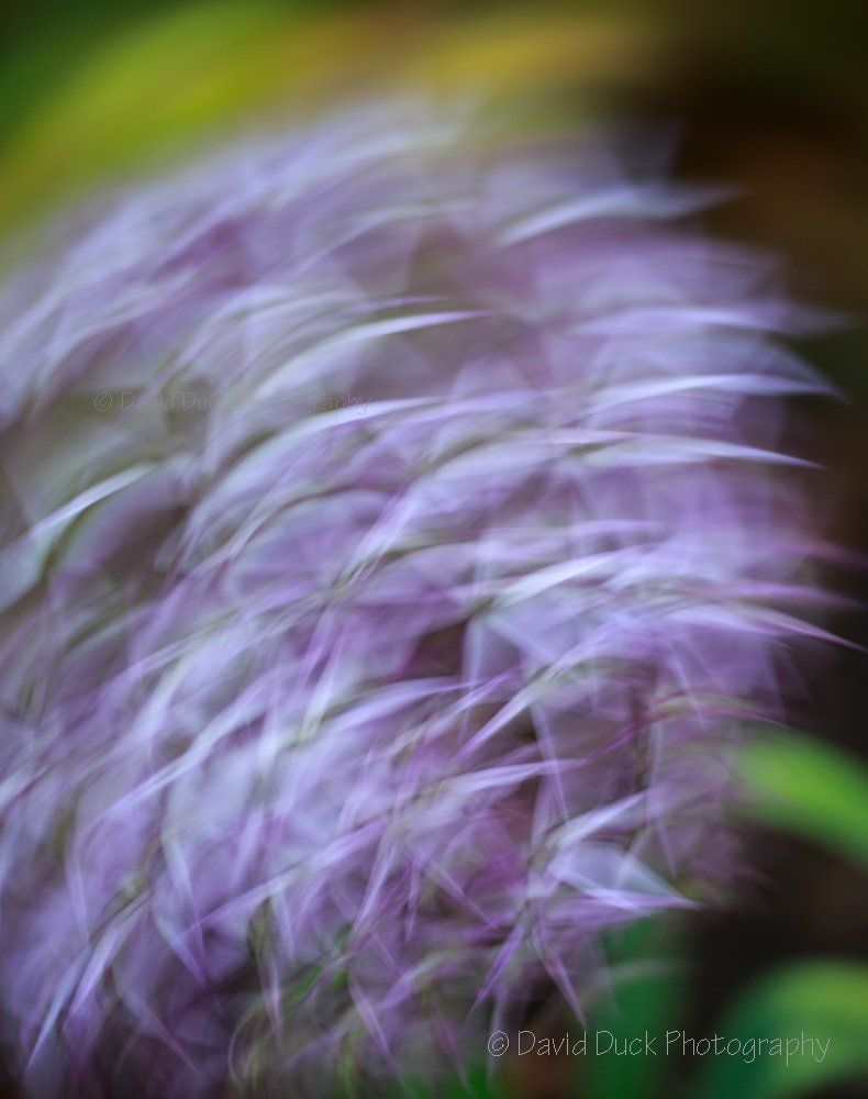 ICM Alium 8752 web.jpg