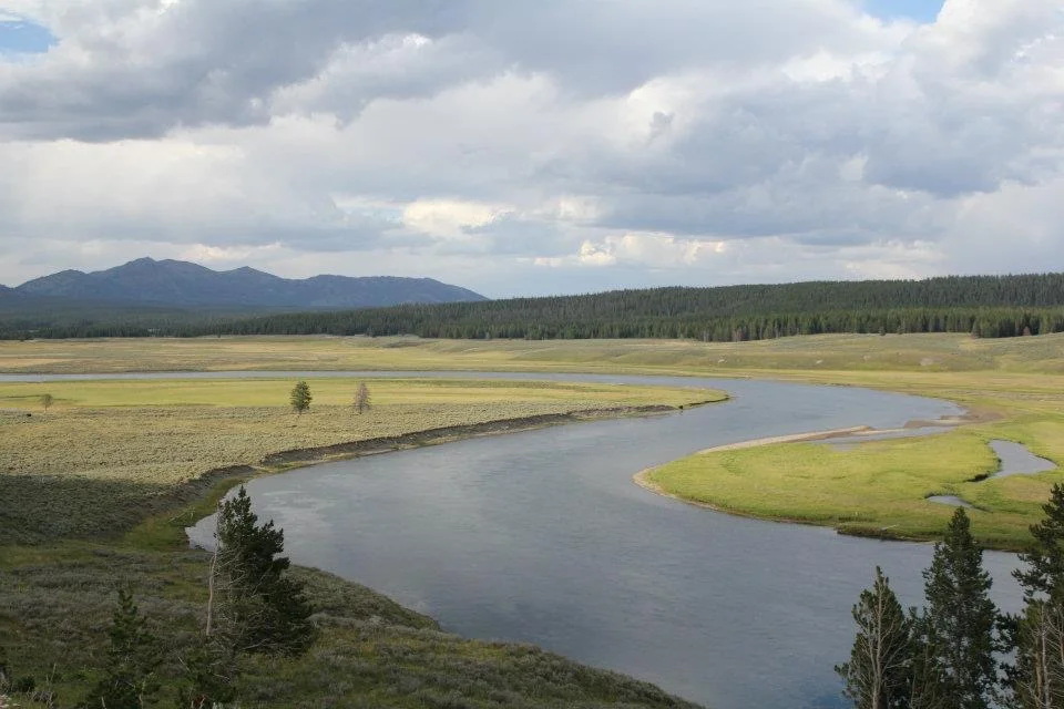 Yellowstone National Park, Wyoming, USA