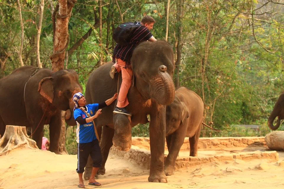 Daniel mounting Bon Jun.