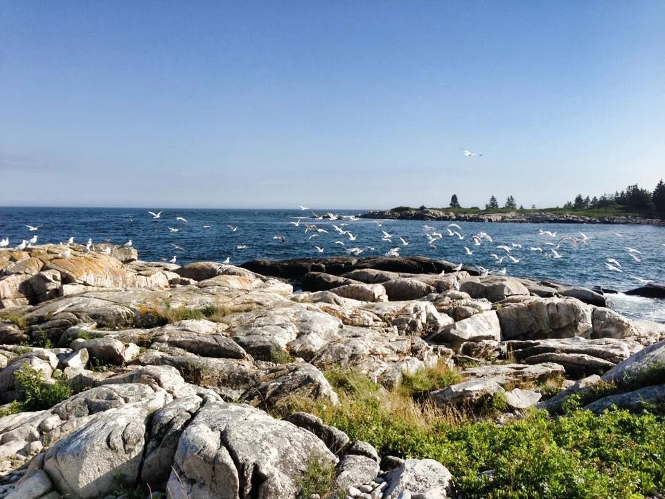 Acadia National Park, Maine