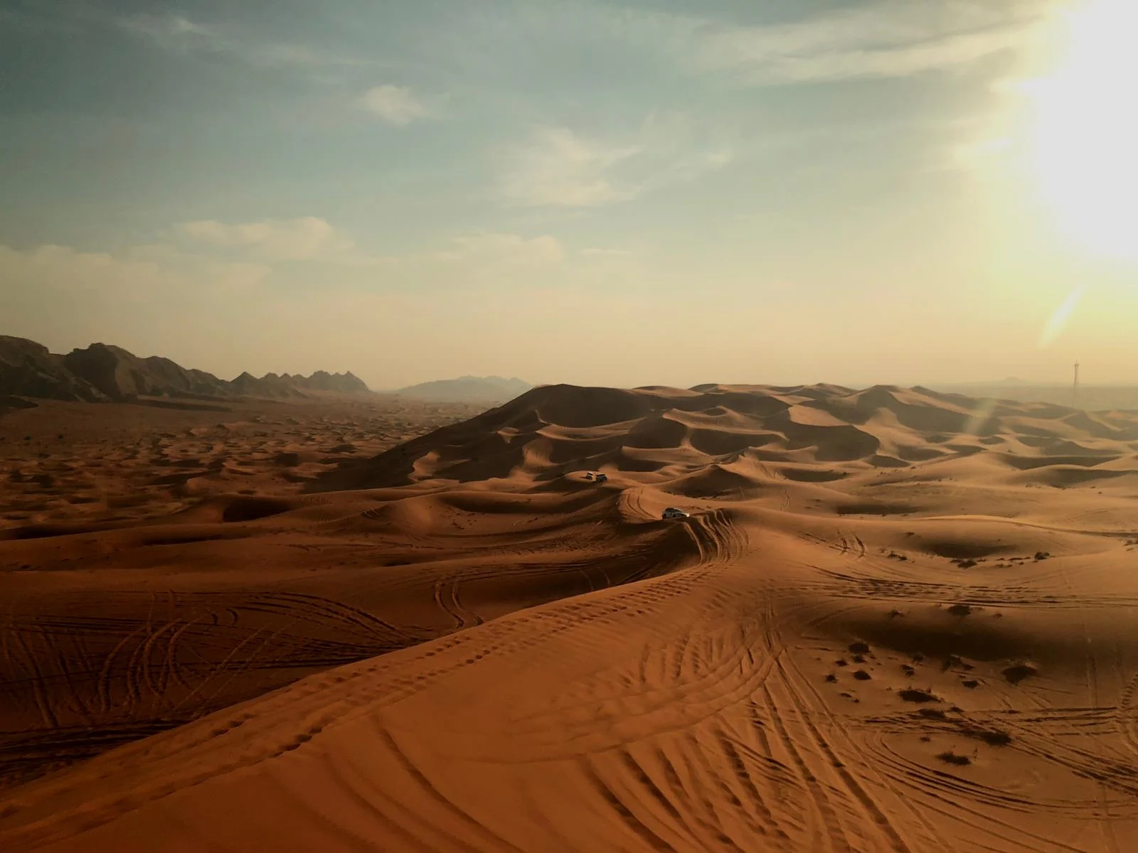 72f00f93-0a0d-4466-b084-6fd04a001008.jpg