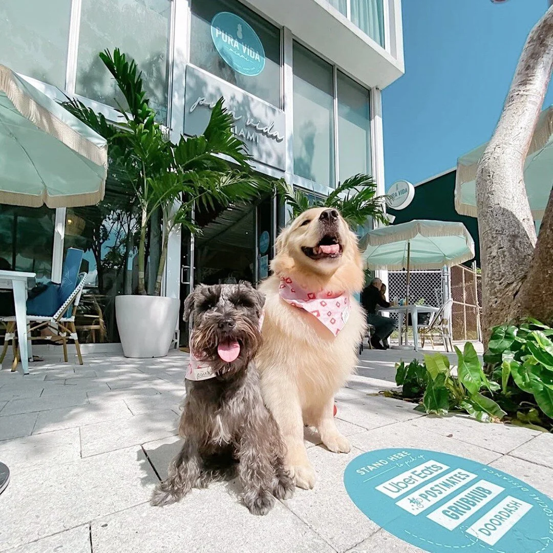 Pura Vida Miami