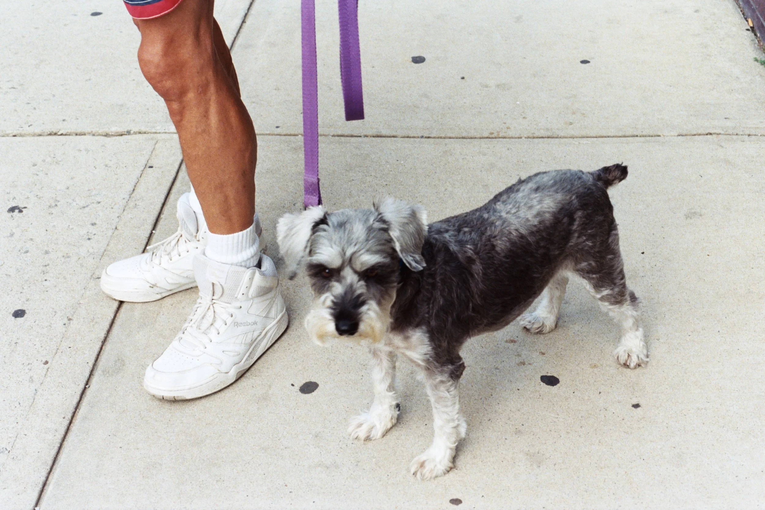 august2017_roll3_frameaa028a.jpg