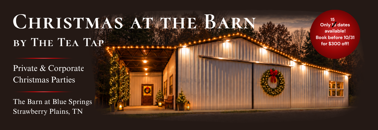 Christmas Party Web Banner15.png
