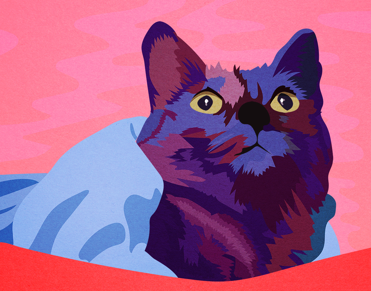 Kitty