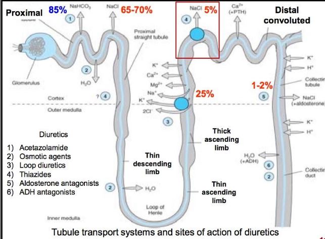 Heal diabetes insipidus