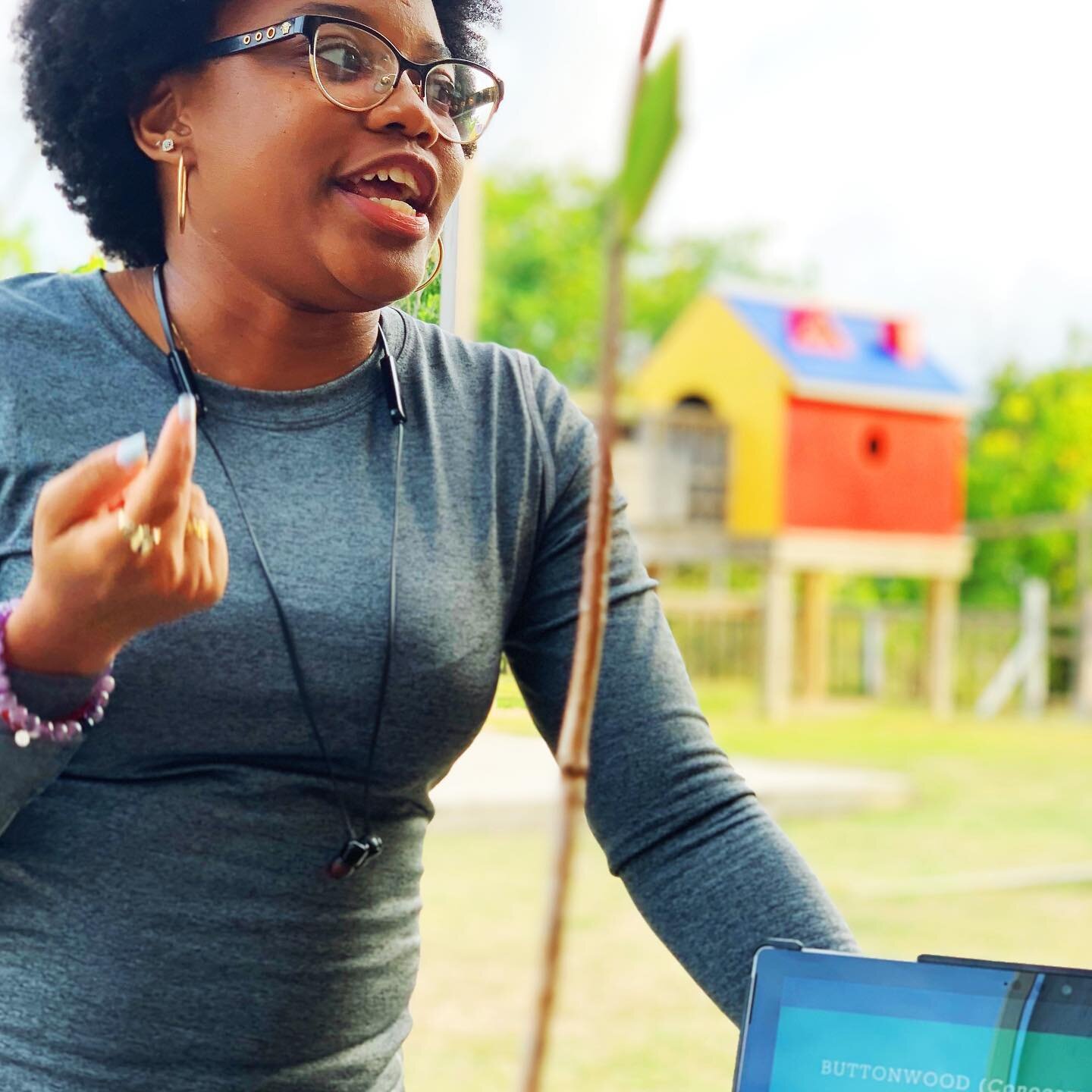 The BVI&rsquo;s mangrove ecosystems are fascinating shallow snorkeling sites, so we jumped at the chance to learn more at the mangrove workshop organized by @cysbvi. 🌱