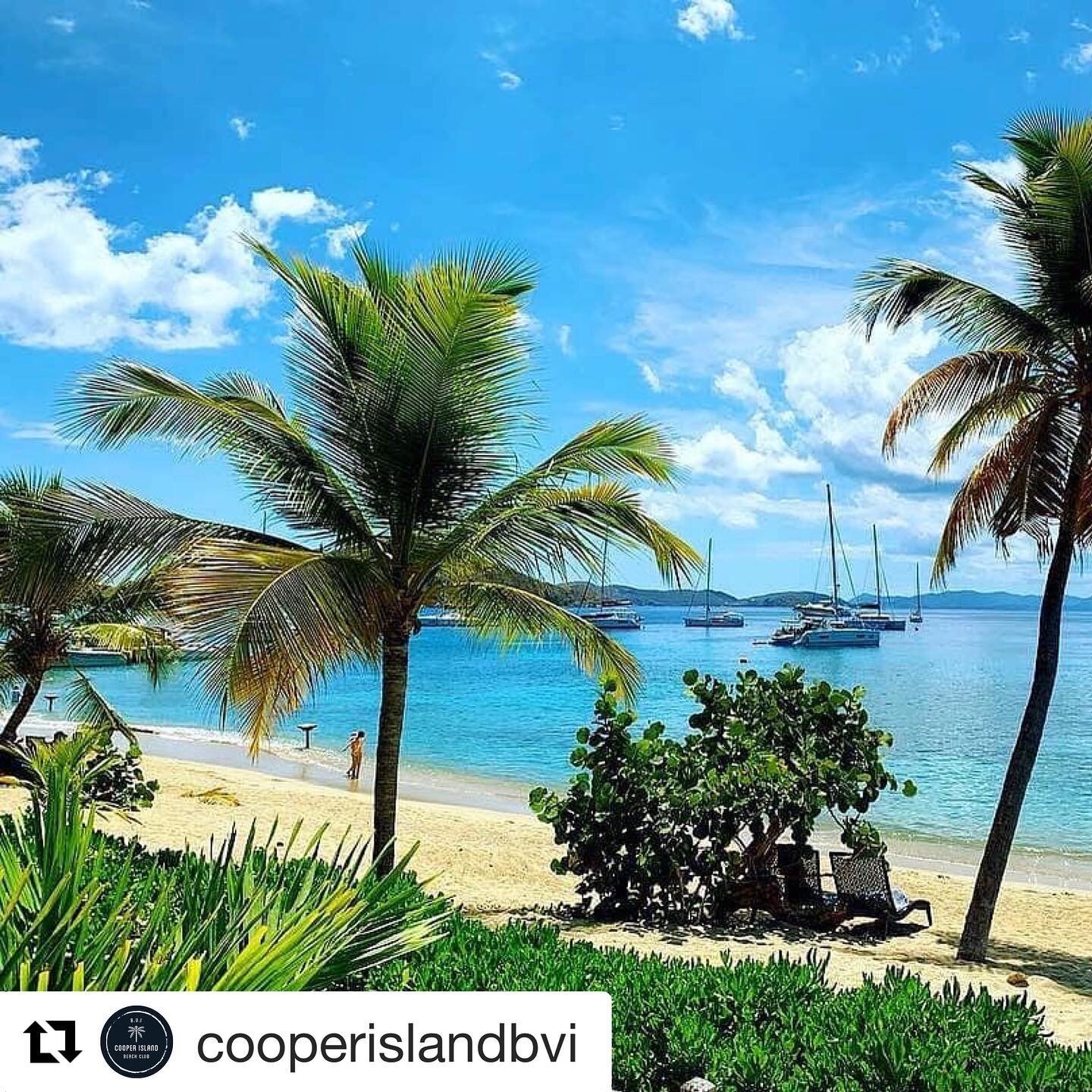 #Repost @cooperislandbvi
・・・
Cooper Island Beach Club has reopened and we are here for it! 🙌