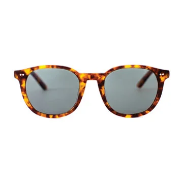 1072_tortoise_solar_front.jpg