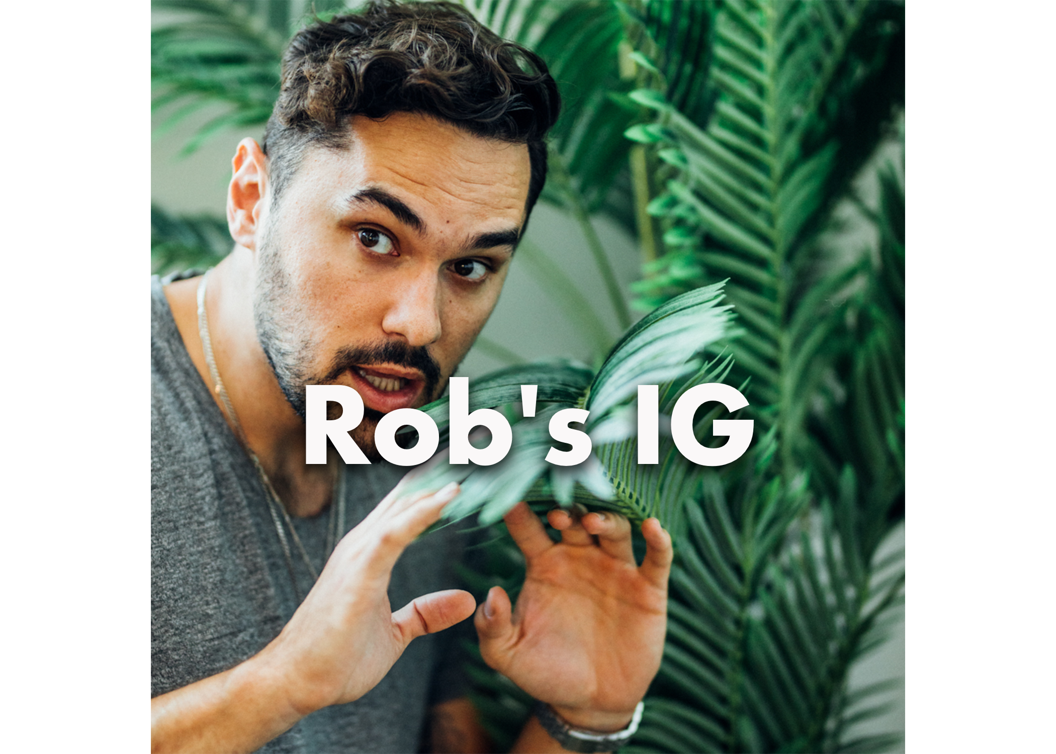 robs-ig.png