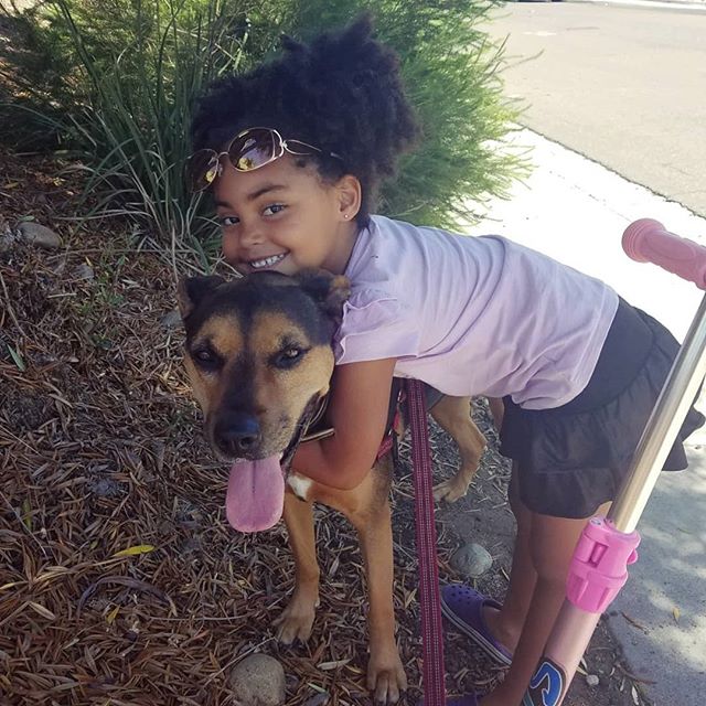 My littlest assistant had a halfday at school today and her pup pals were super happy to see her this afternoon! A lot of the fur kids I care for have known her since she was a toddler so they've missed each other since she recently started kindergar