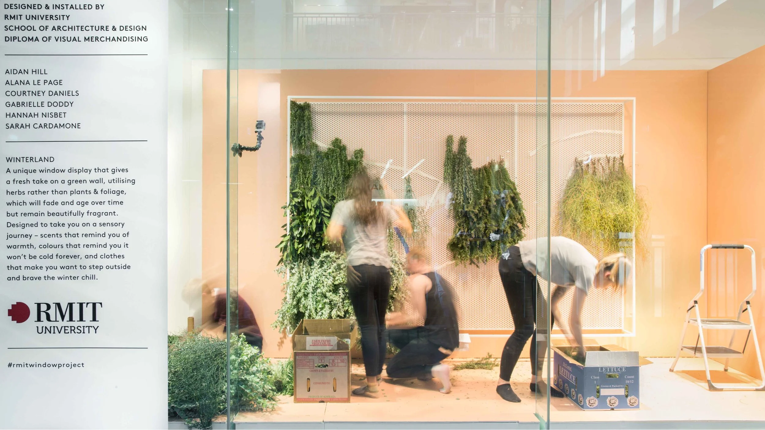 Country Road x RMIT Window Project. For more info click HERE