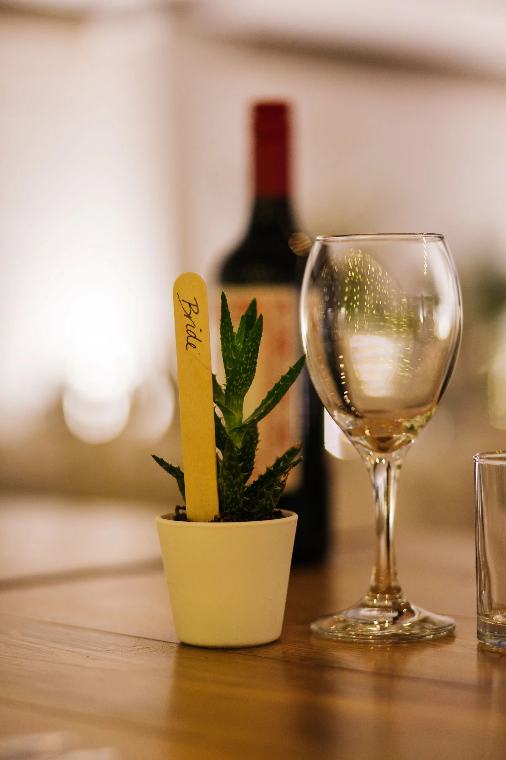 Cactus place settings. Photo by pauljosephphotography.co.uk.jpg