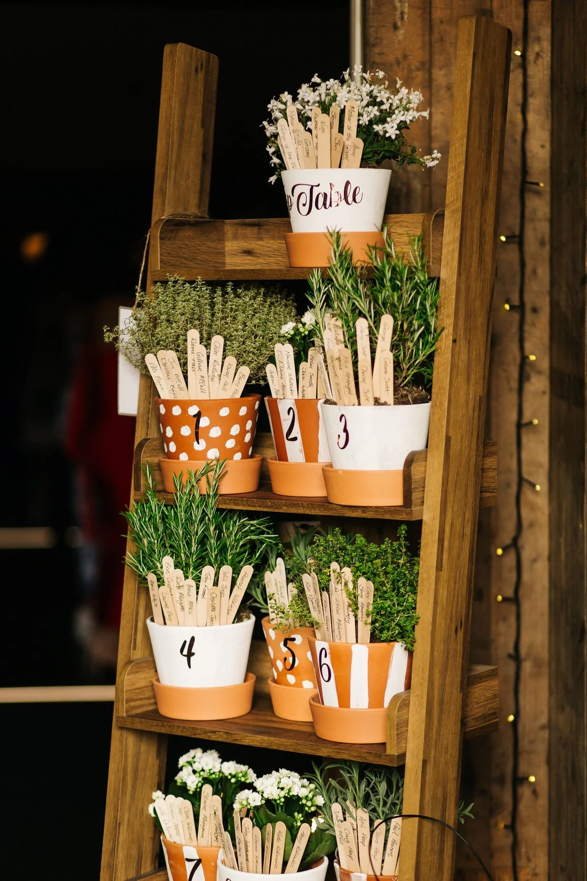 Potty table plan. Photo by pauljosephphotography.com.jpg