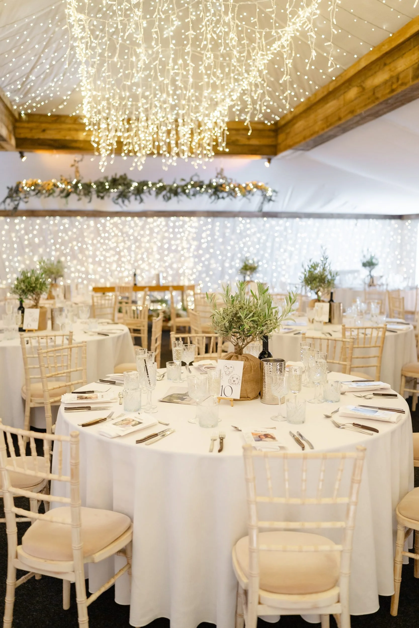 the-normans-wedding-breakfast-tables-fairy-lights-olive-trees-682.jpg