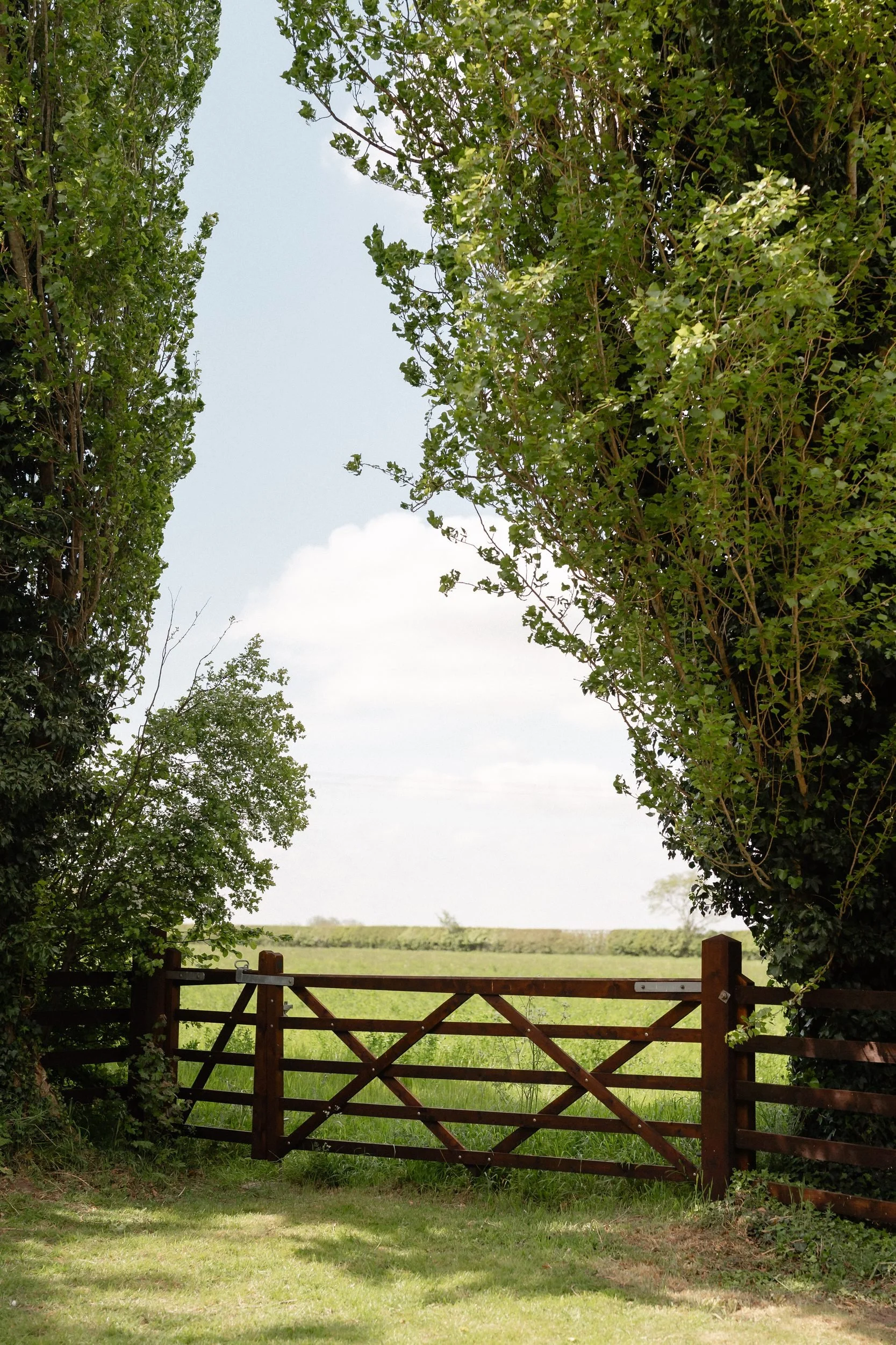 wooden-farm-gate-poplar-trees-bilbrough-countryside-26.jpg