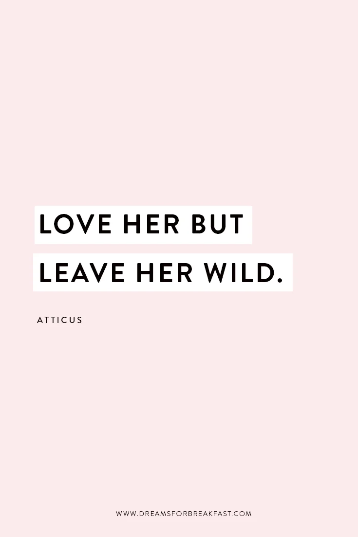 Quote_Blog_atticus-love-her-leave-wild.jpg