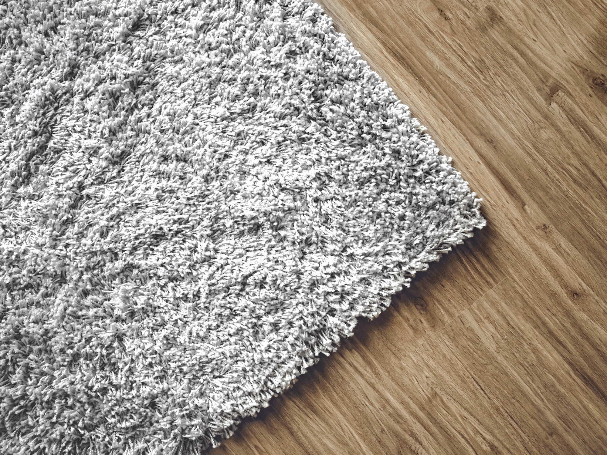 Area Rug Cleaning