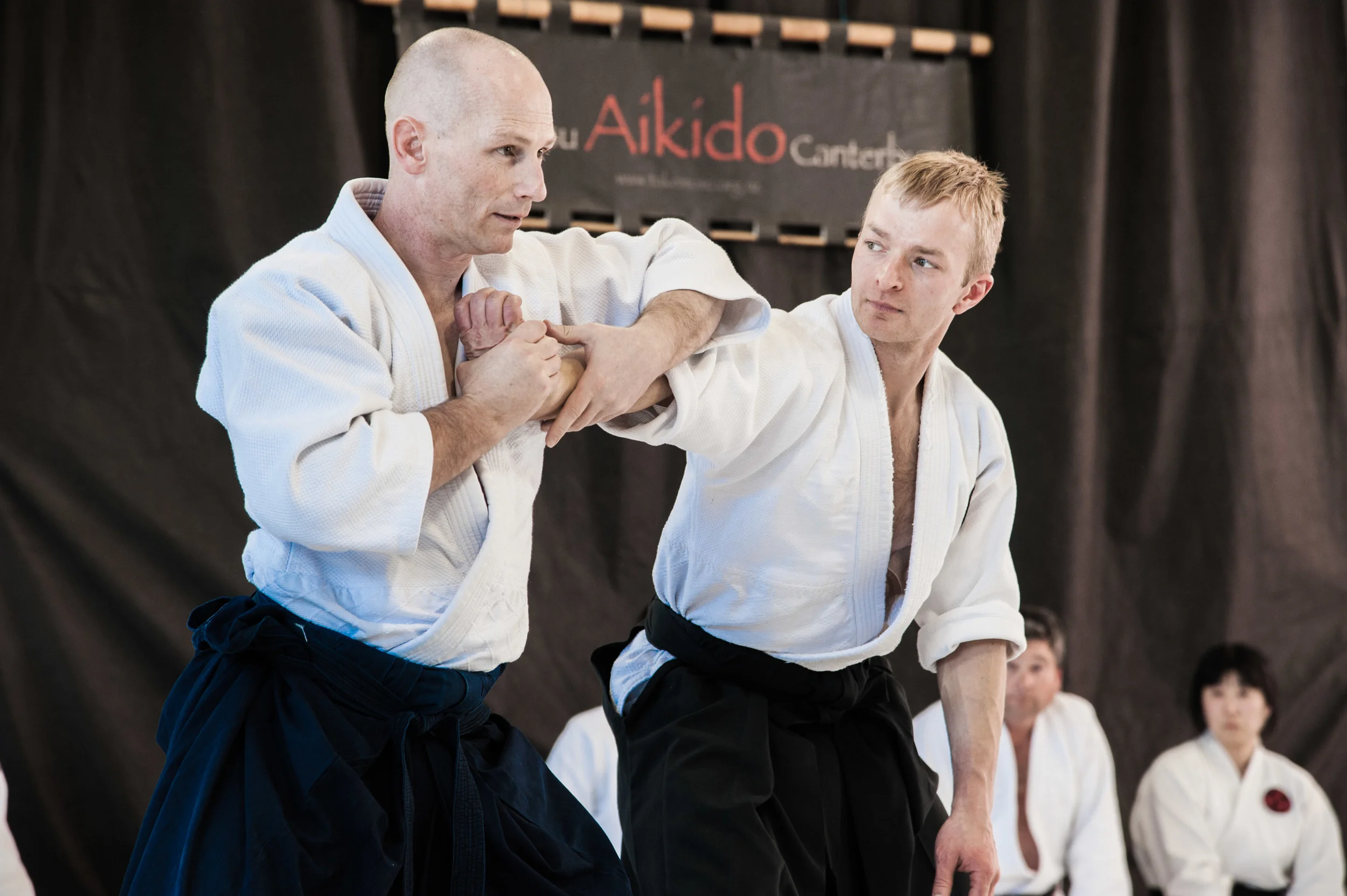 Alan Roberts Sensei workshop November 2015